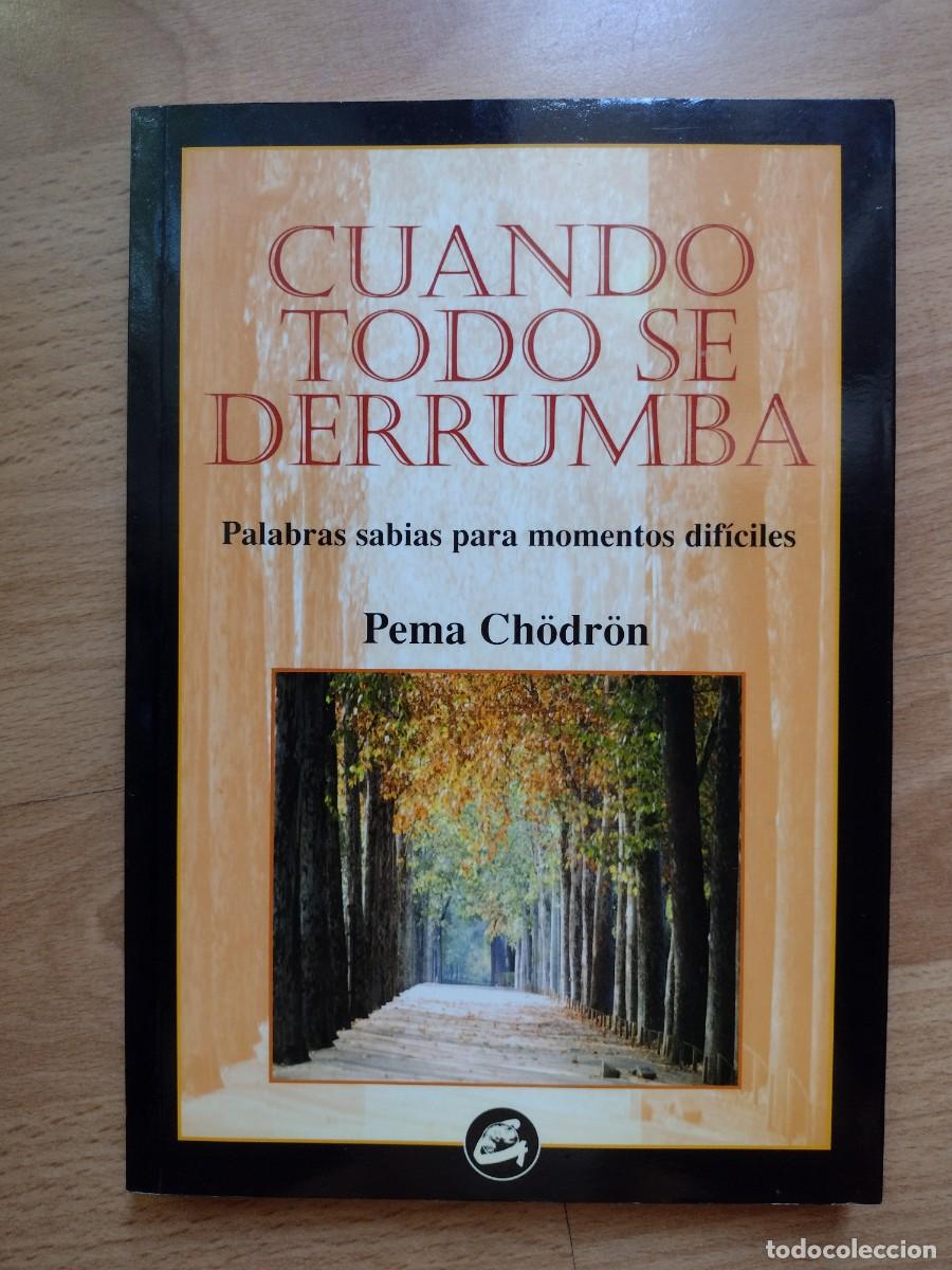 Libros de segunda mano: Cuando todo se derrumba Pema Chodron libro de autoayuda