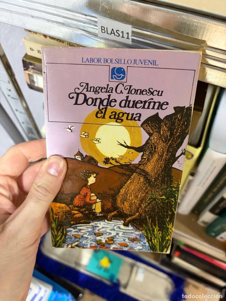 Libros de segunda mano: BLAS11 &mdash; Angela C. Ionescu &mdash; Donde duerme el agua &mdash; Labor