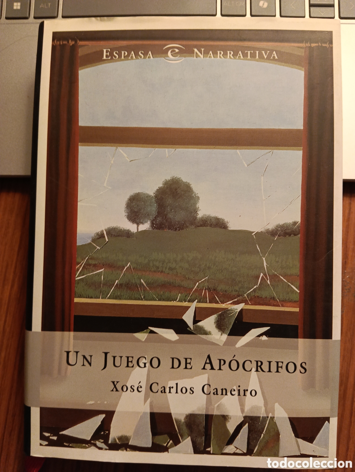 Libros de segunda mano: Un juego de ap&oacute;crifos, Xos&eacute; Carlos Caneiro