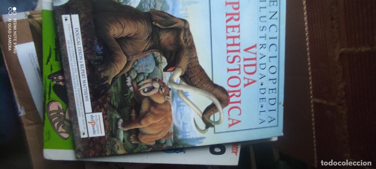 Libros de segunda mano: Enciclopedia ilustrada de la vida prehistorica