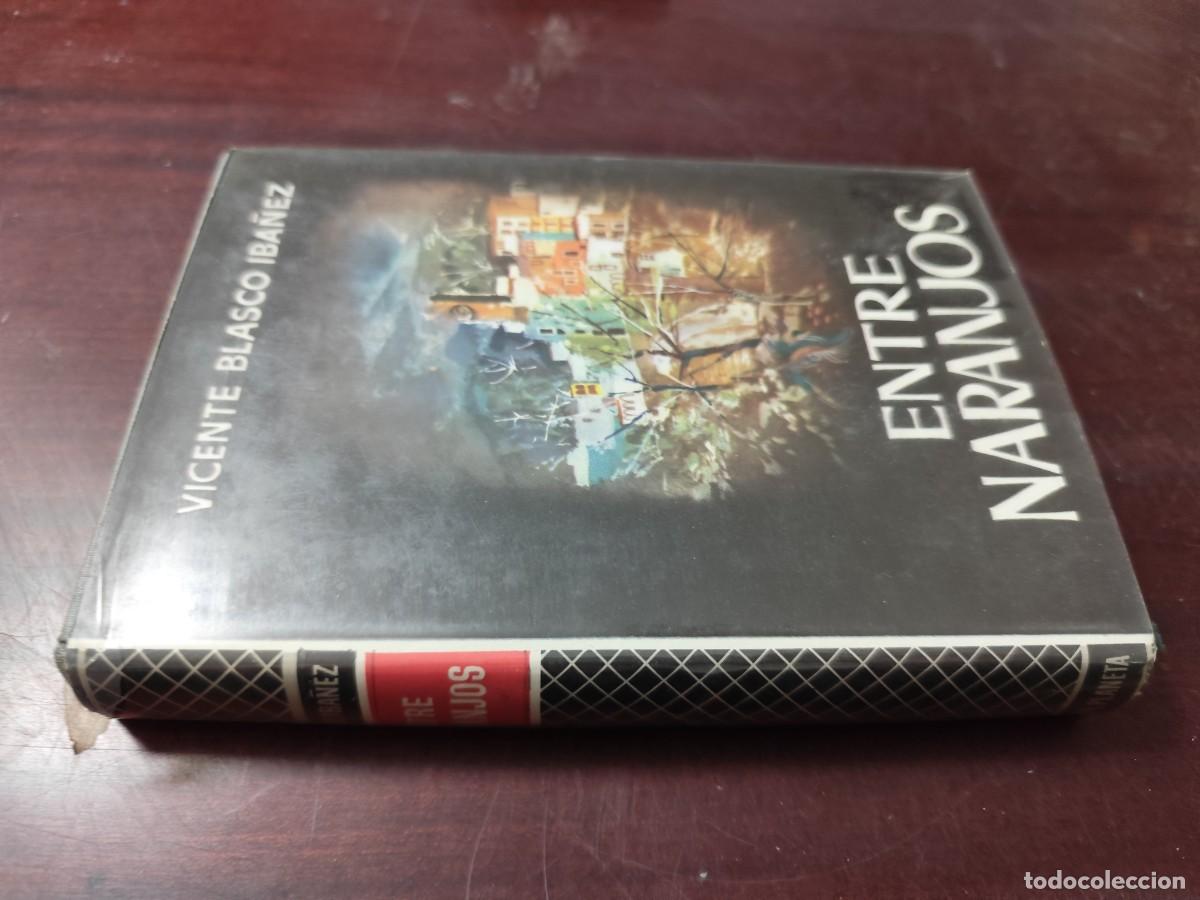 Libros de segunda mano: ENTRE NARANJOS / VICENTE BLASCO IBA&Ntilde;EZ / CJA 502 / PLANETA