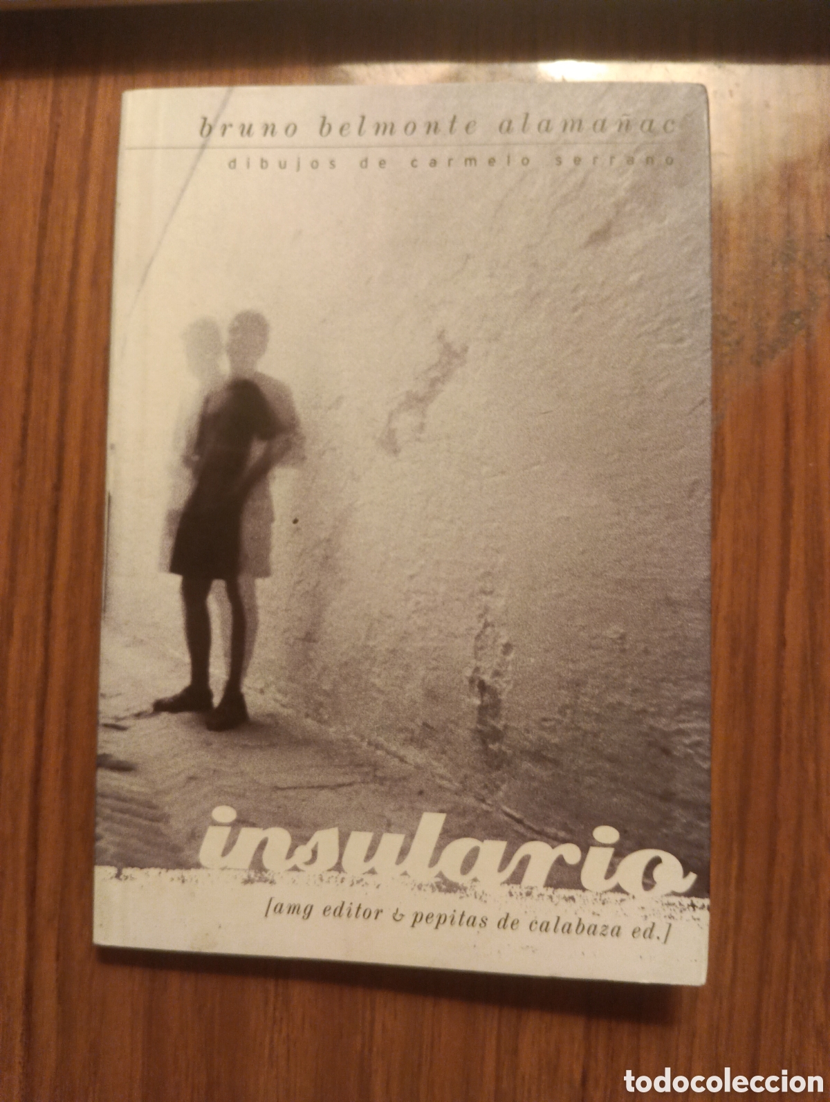Libros de segunda mano: Insulario, Bruno Belmonte Alama&ntilde;ac