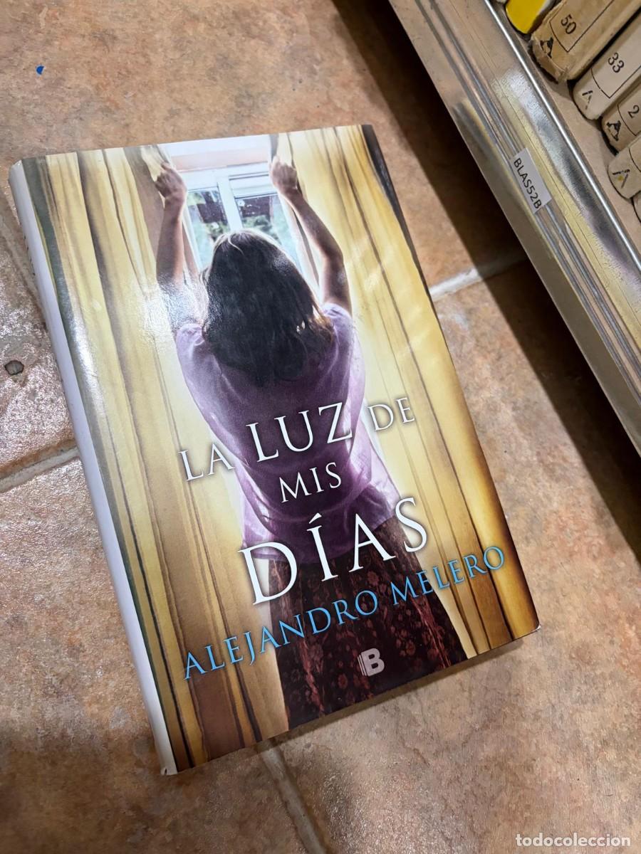 Libros de segunda mano: BLAS52B &mdash; La luz de mis d&iacute;as &mdash; Alejandro Melerio &mdash; Ediciones B
