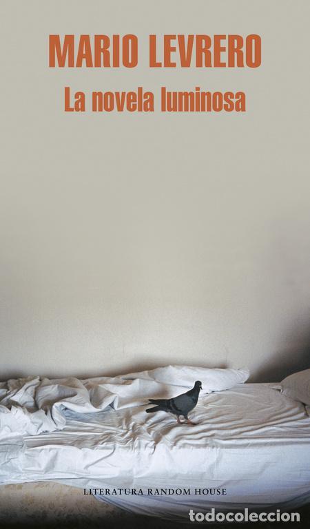 Livres d'occasion: La novela luminosa. - Levrero, Mario.