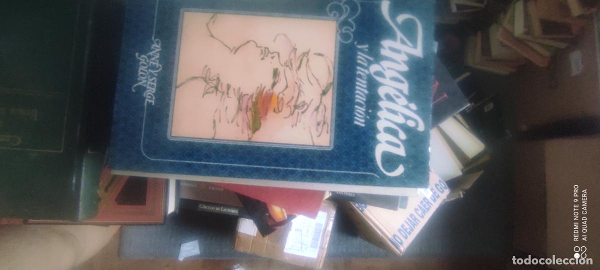Libros de segunda mano: Ang&eacute;lica y la tentaci&oacute;n / Anne y Serge Golon / C&iacute;rculo de Lectores 1982