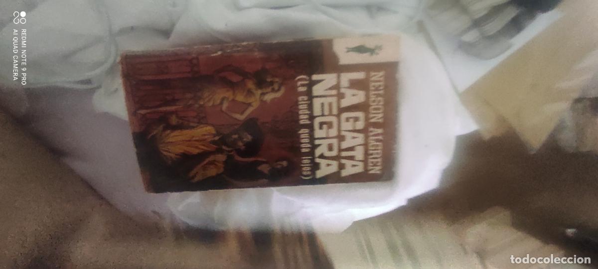Libros de segunda mano: Algren. la gata negra