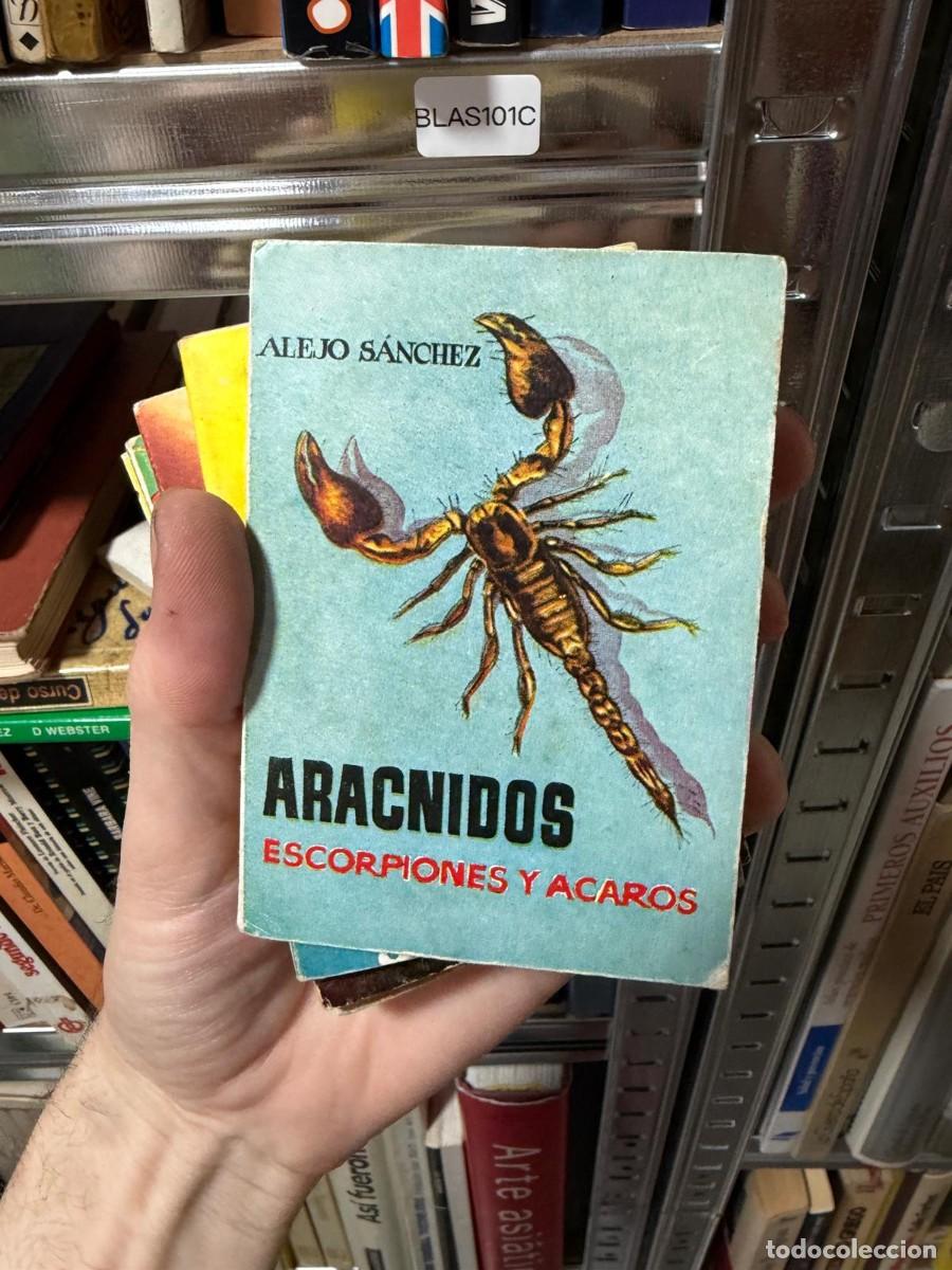Libros de segunda mano: BLAS101C &mdash; Ar&aacute;cnidos. Escorpiones y &aacute;caros &mdash; Alejo S&aacute;nchez &mdash; Colecci&oacute;n Pulga