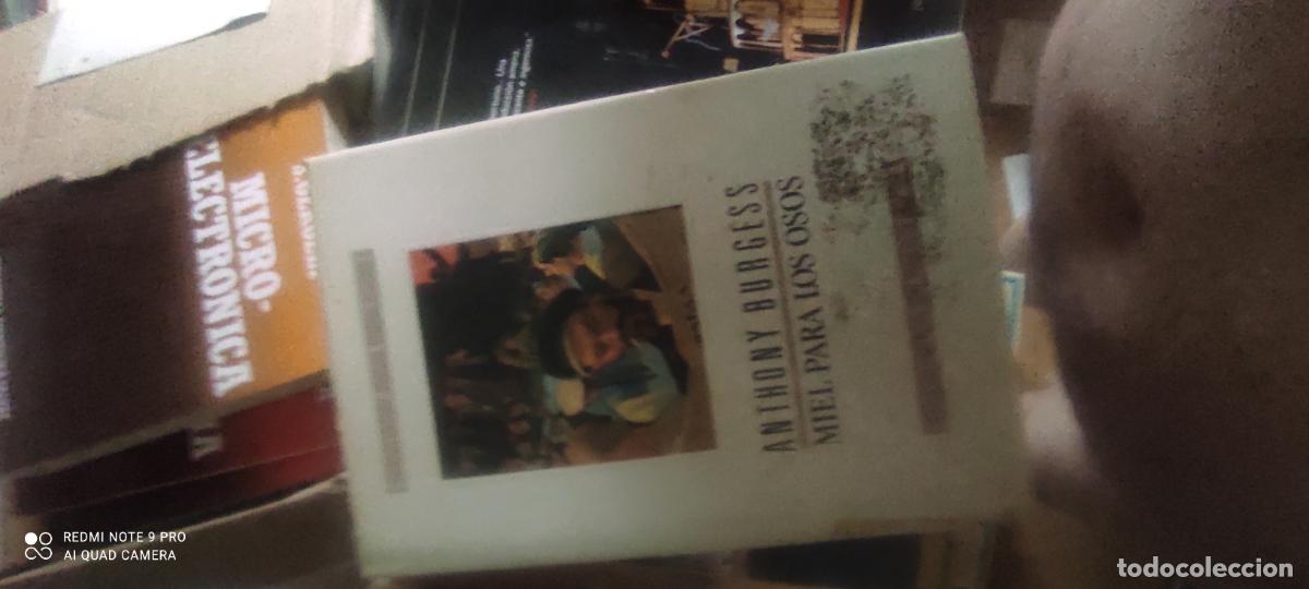 Libri di seconda mano: Miel para los osos - Anthony Burguess (Editorial Debate, 1987)