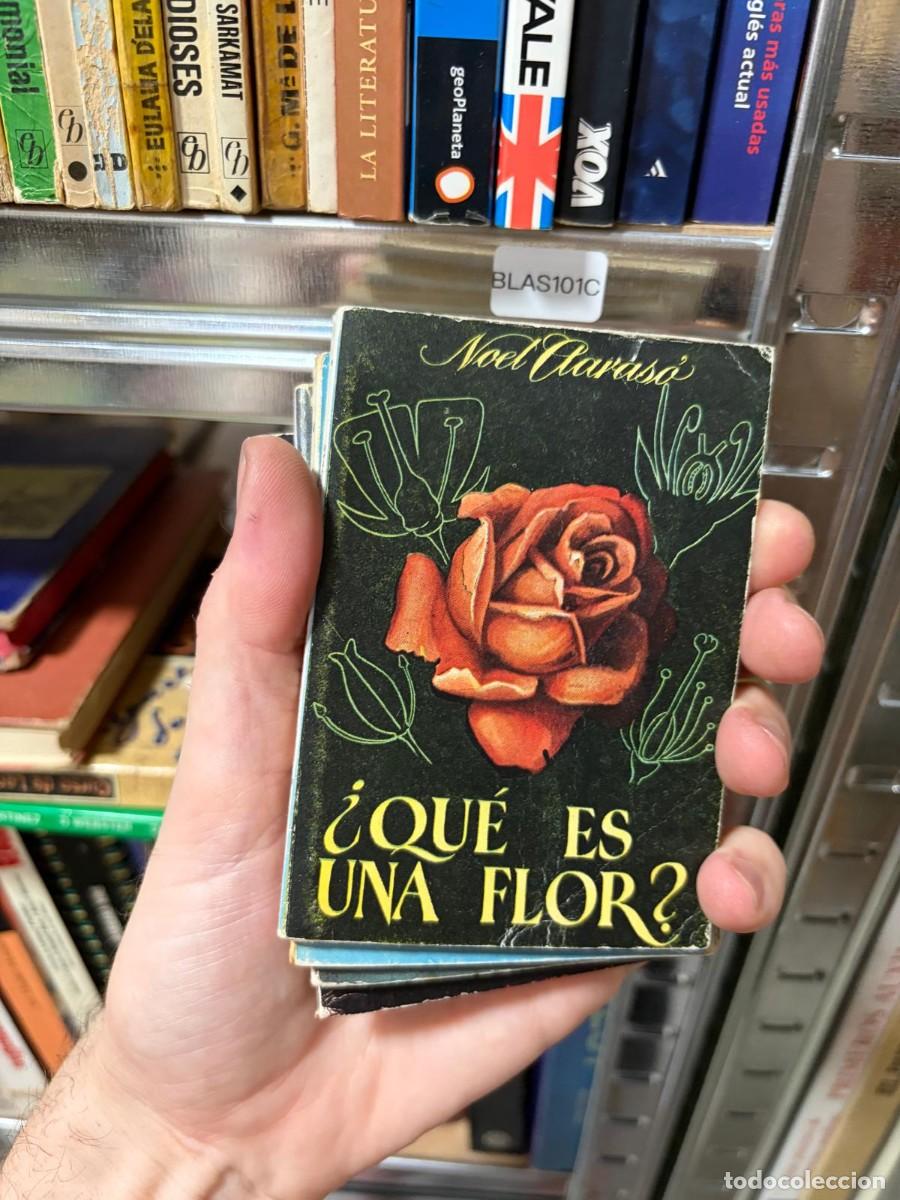 Libros de segunda mano: BLAS101C + NOEL CLARAS&Oacute; + &iquest;Qu&eacute; es una flor? + COLECCI&Oacute;N PULGA