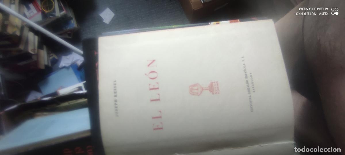 Libros de segunda mano: El le&oacute;n - Kessel, Joseph