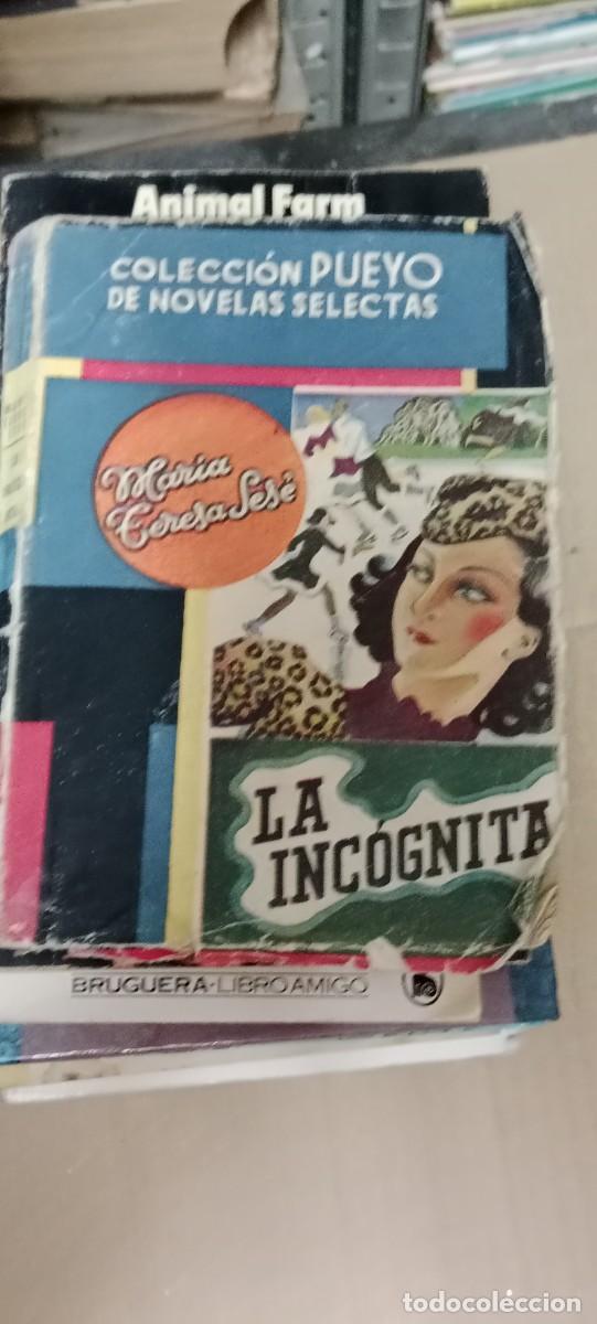 Libri di seconda mano: PUEYO. N&ordm; 53. LA INC&Oacute;GNITA. MAR&Iacute;A TERESA SES&Eacute;. EDT. PUEYO. LIBRO GG-BTJ