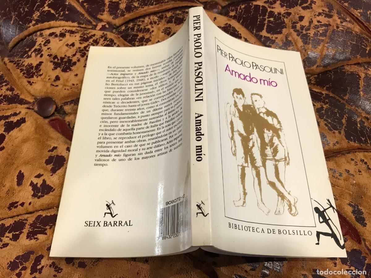 Libros de segunda mano: PIER PAOLO PASOLINI. AMADO M&Iacute;O. 1990