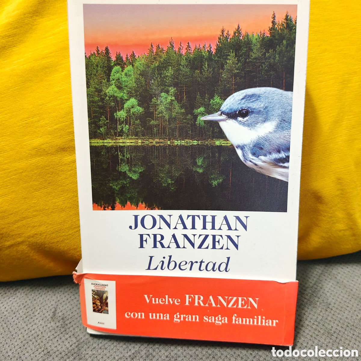 Libros de segunda mano: Libertad, Jonathan Franzen