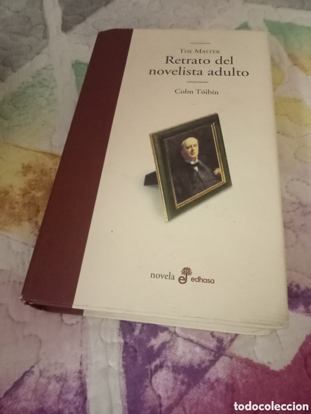 Libros de segunda mano: Colm Toibin. Retrato del novelista adulto. Edhasa 2006
