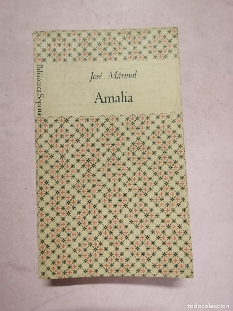 Libri di seconda mano: BIBLIOTECA SOPENA. AMALIA (JOSE MARMOL)