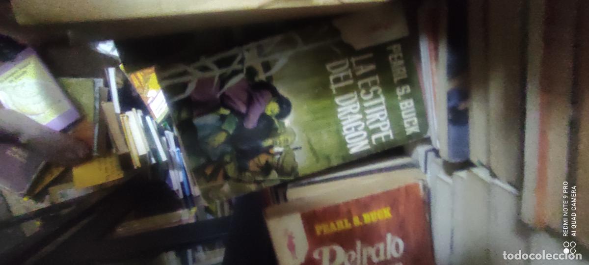 Libros de segunda mano: La estirpe del drag&oacute;n. P.S. Buck