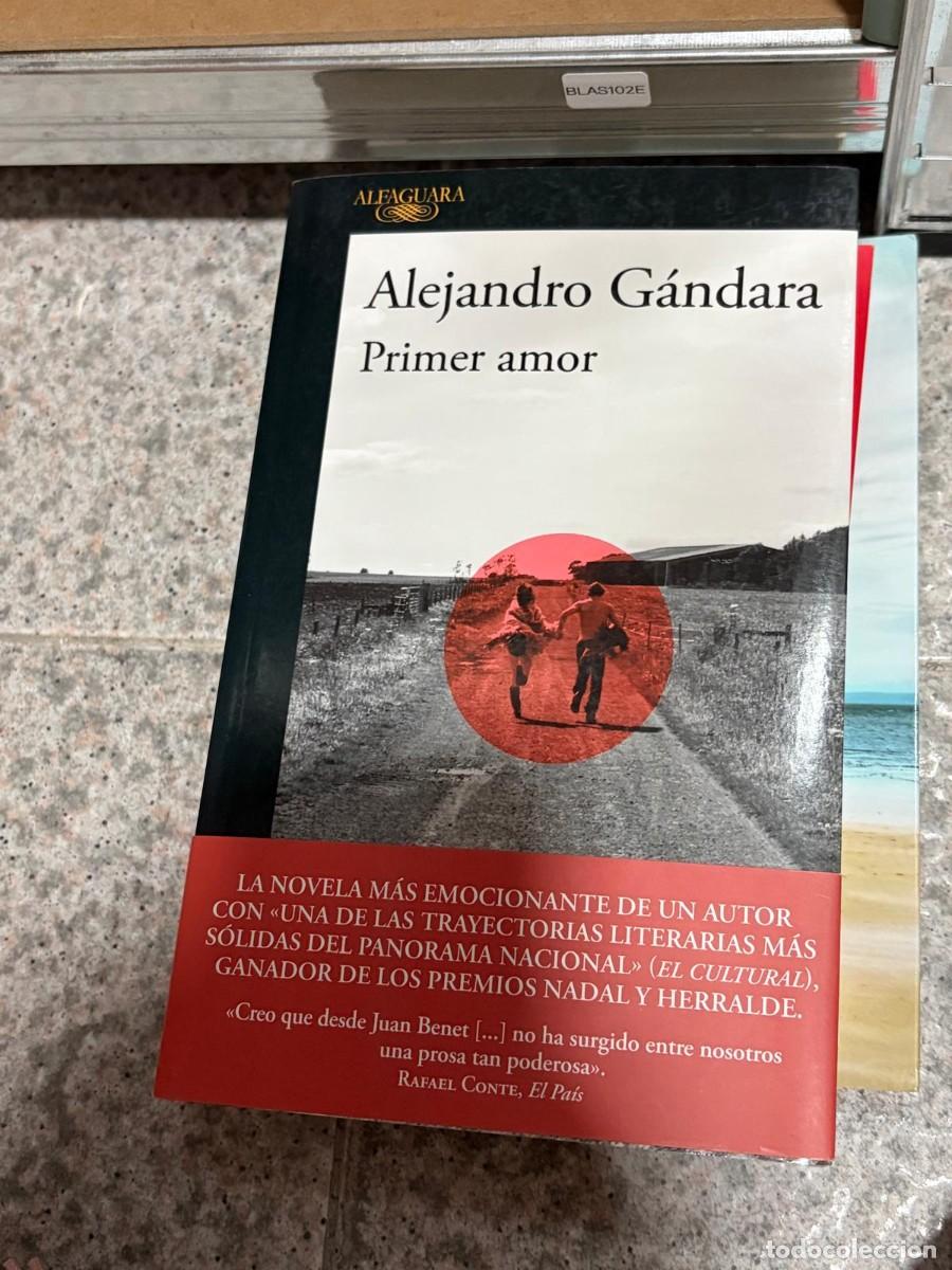 Libros de segunda mano: BLAS102E &mdash; Alejandro G&aacute;ndara &mdash; Primer amor &mdash; Alfaguara