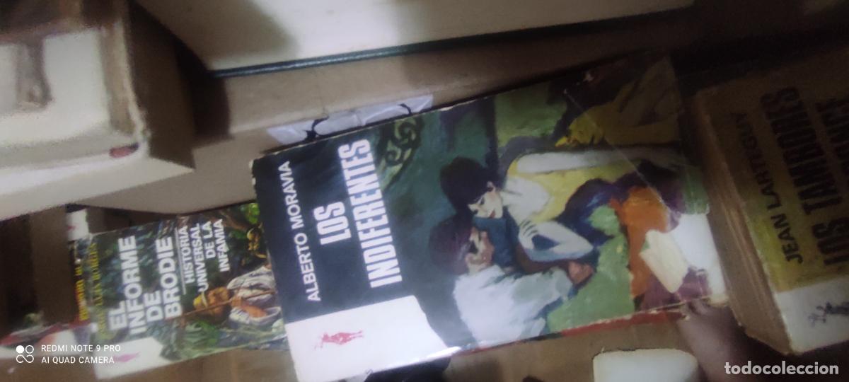 Libros de segunda mano: Los indiferentes de Moravia