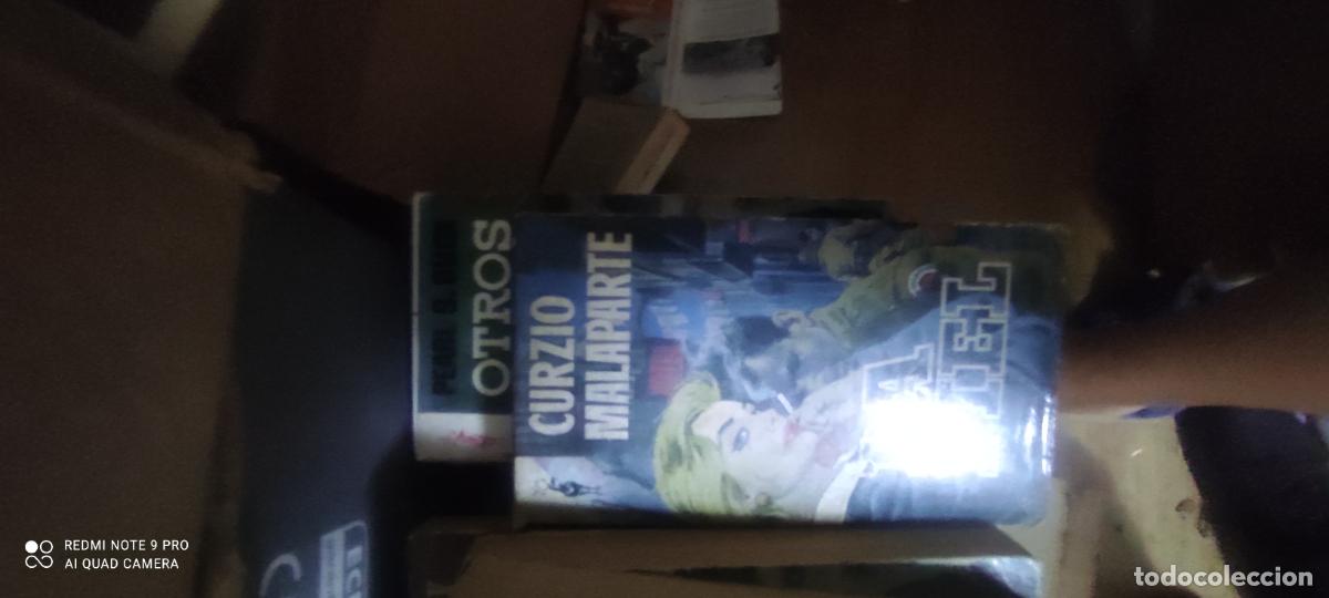 Libros de segunda mano: La piel de Curzio Malaparte