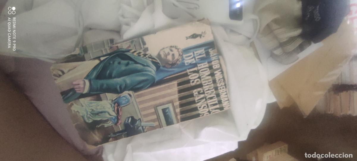 Libros de segunda mano: El hombrecillo de los gansos, Wassermann