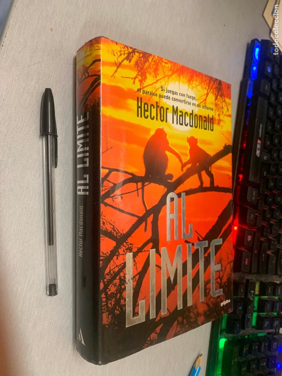 Libros de segunda mano: AL L&Iacute;MITE / H&Eacute;CTOR MACDONALD / GRIJALBO MONDADORI 1&ordf; EDICI&Oacute;N 2001