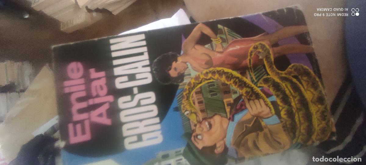 Libros de segunda mano: LIBROS RENO - GROS-CALIN / EMILE AJAR