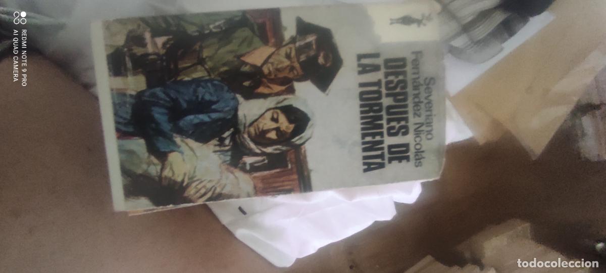 Libros de segunda mano: Despu&eacute;s de la tormenta, de Fern&aacute;ndez NIcol&aacute;s