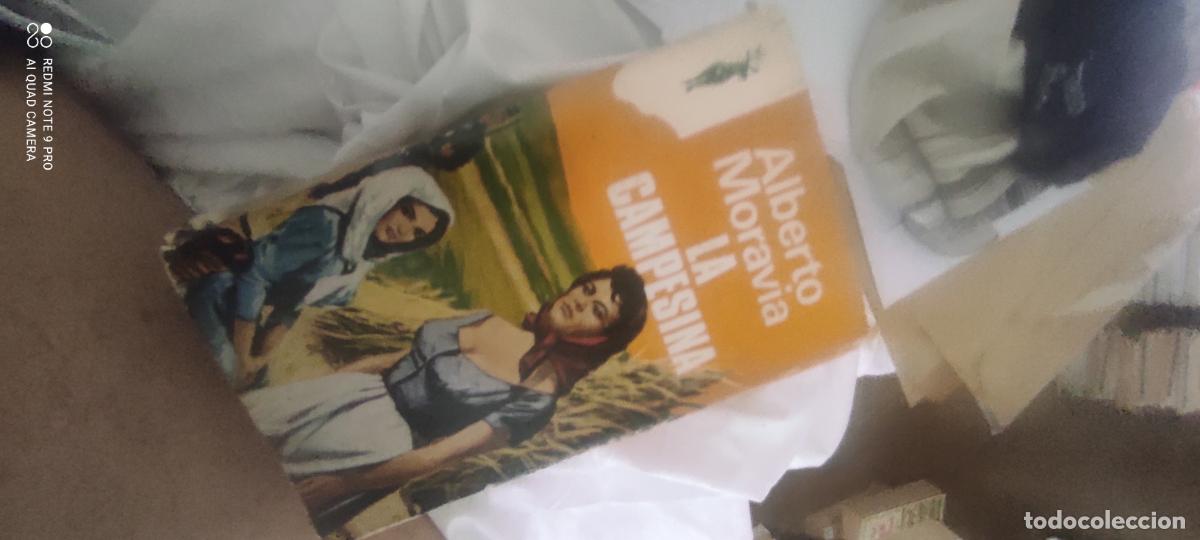 Libros de segunda mano: La campesina, de Moravia