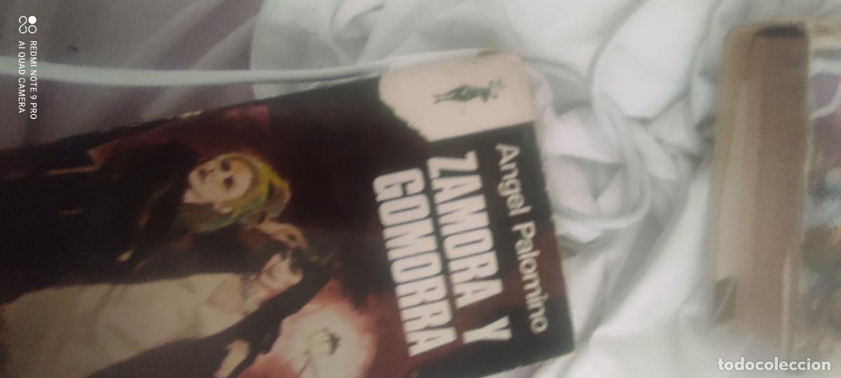 Libros de segunda mano: Zamora y Gomorra, de Palomino