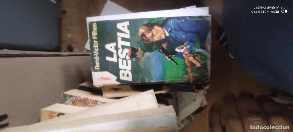 Libros de segunda mano: LA BESTIA - Pilhes,Ren&eacute; Victor
