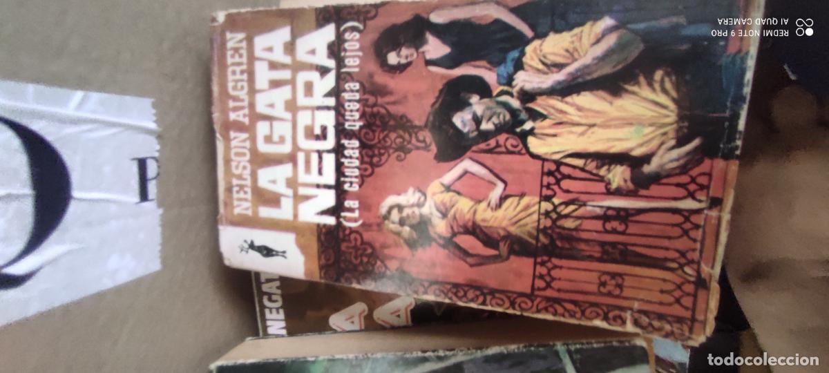 Libros de segunda mano: La gata negra: Algren, Nelson
