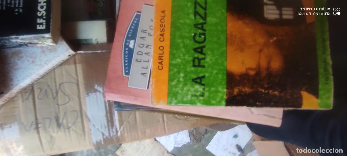 Libros de segunda mano: La ragaza, de Cassola