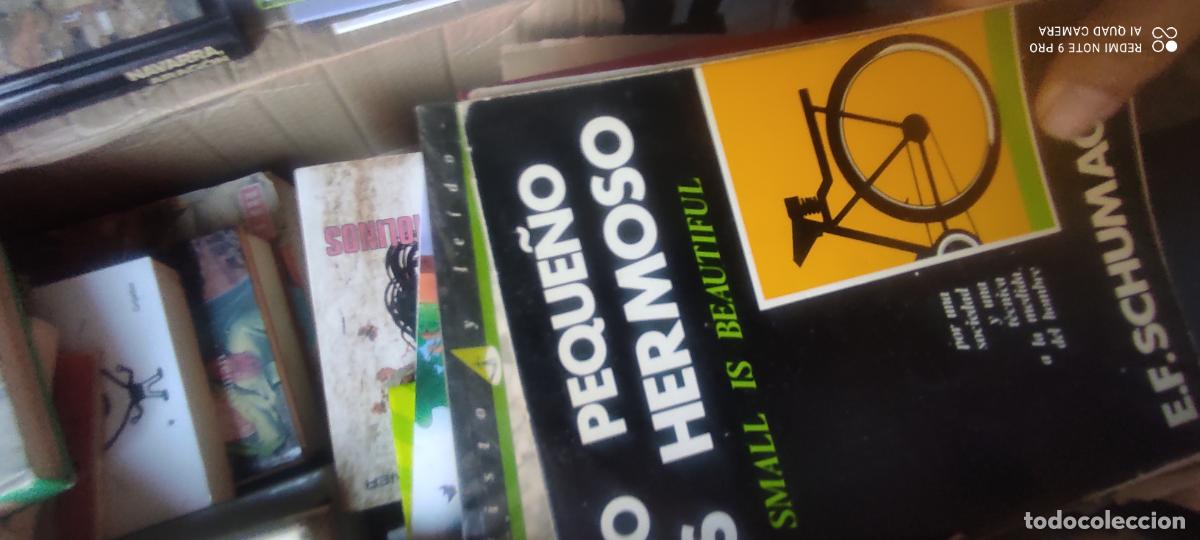 Livros em segunda m&atilde;o: LO PEQUE&Ntilde;O ES HERMOSO. E. F. SCHUMACHER. EDITORIAL BLUME 1978