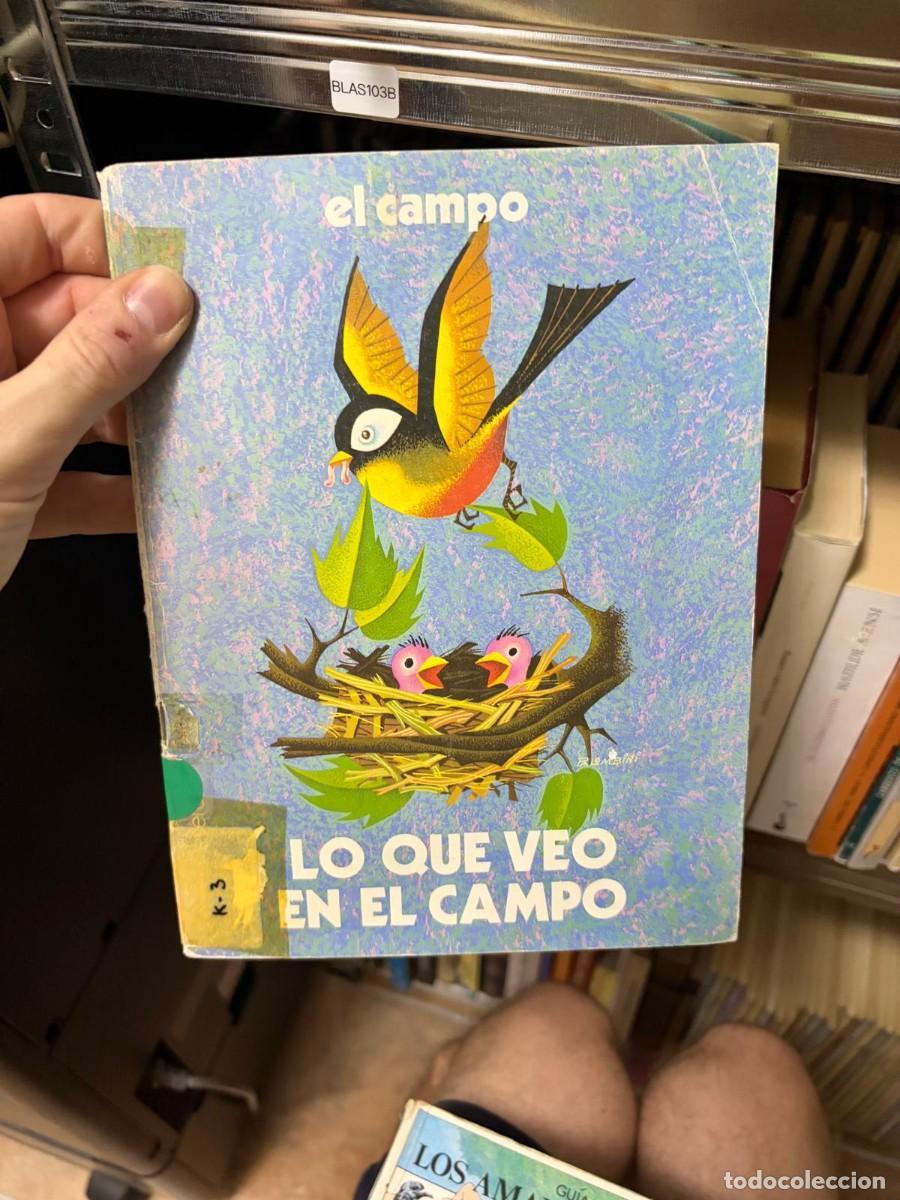 Libri di seconda mano: BLAS103B + - + El campo. Lo que veo en el campo