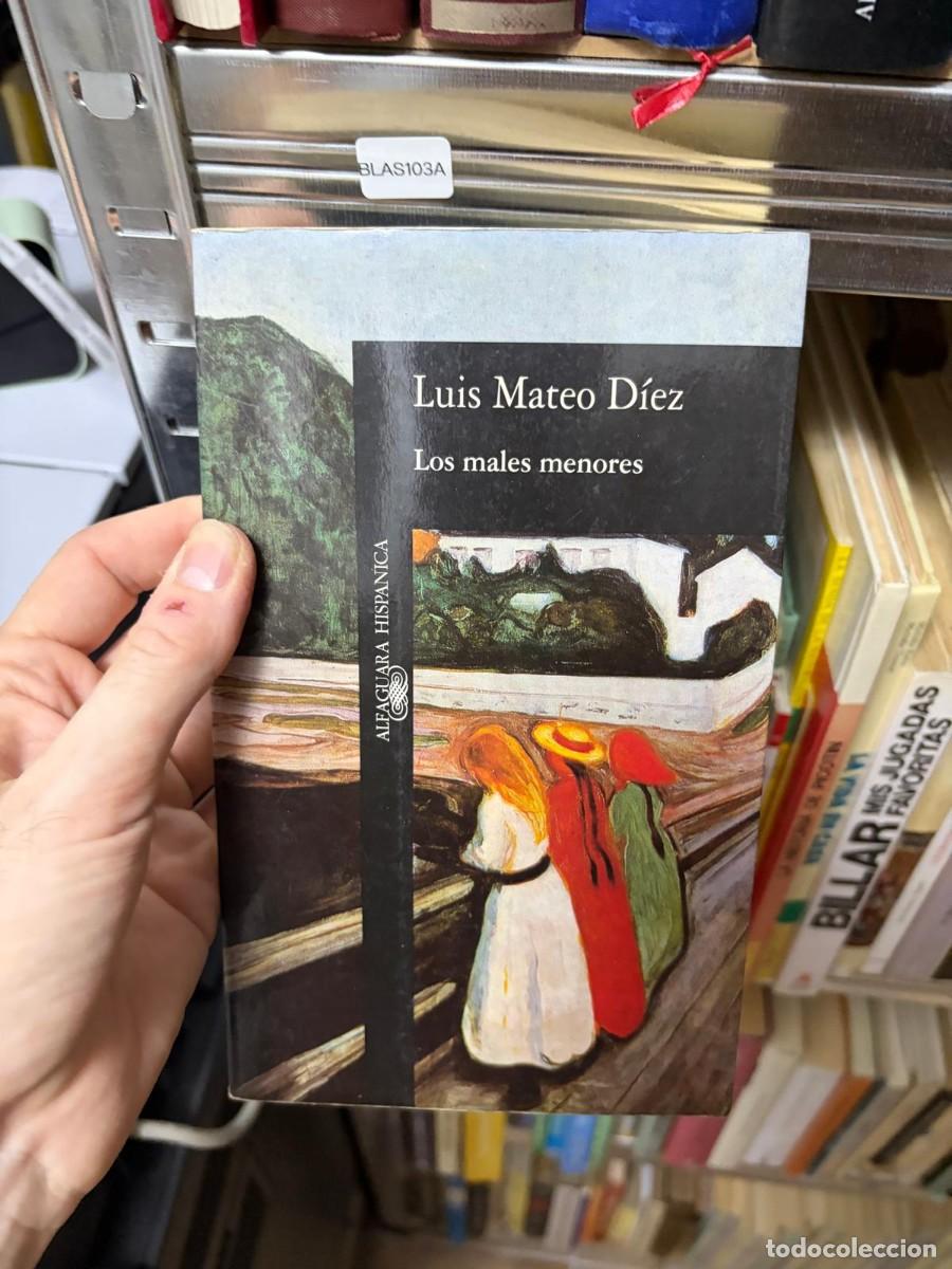 Libros de segunda mano: BLAS103A &mdash; Los males menores &mdash; Luis Mateo D&iacute;ez &mdash; Alfaguara Hisp&aacute;nica