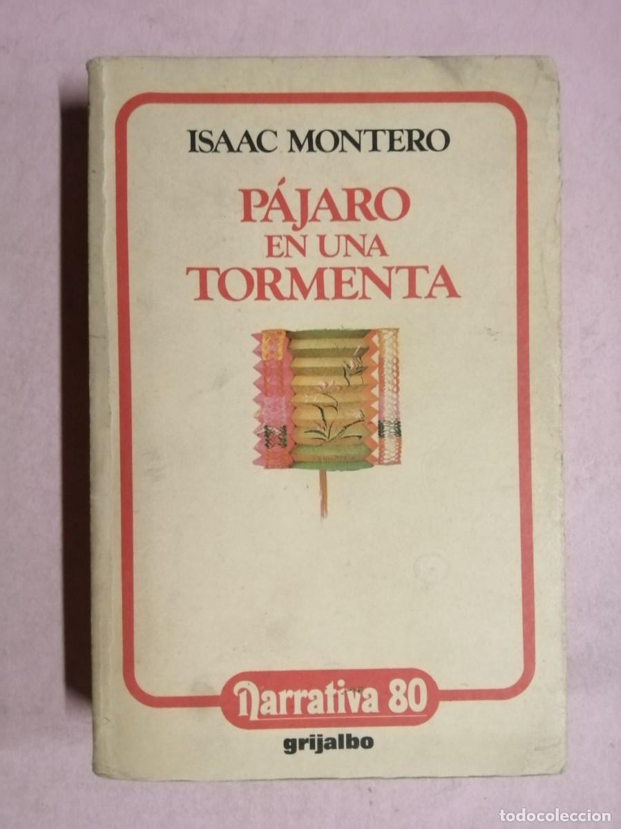Libros de segunda mano: PAJARO EN UNA TORMENTA (ISAAC MONTERO)