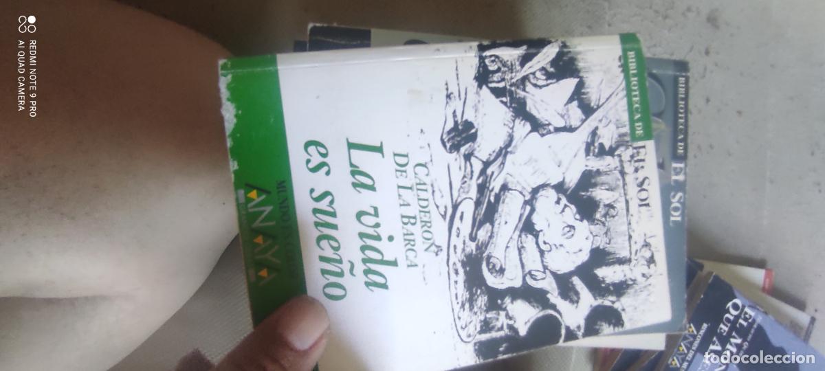 Libros de segunda mano: La vida es sue&ntilde;o de Calder&oacute;n BIBLIOTECA DE EL SOL.