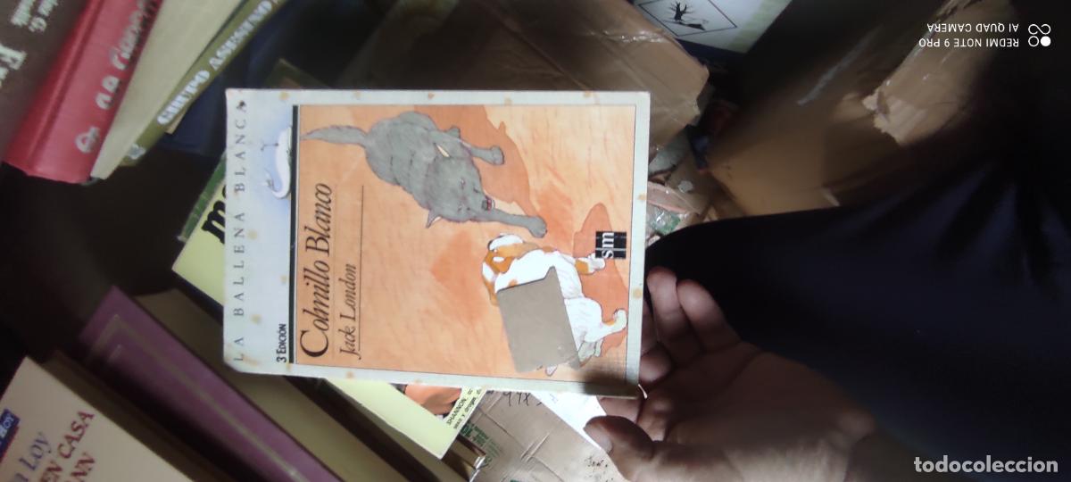Libros de segunda mano: Colmillo blanco, Jack London