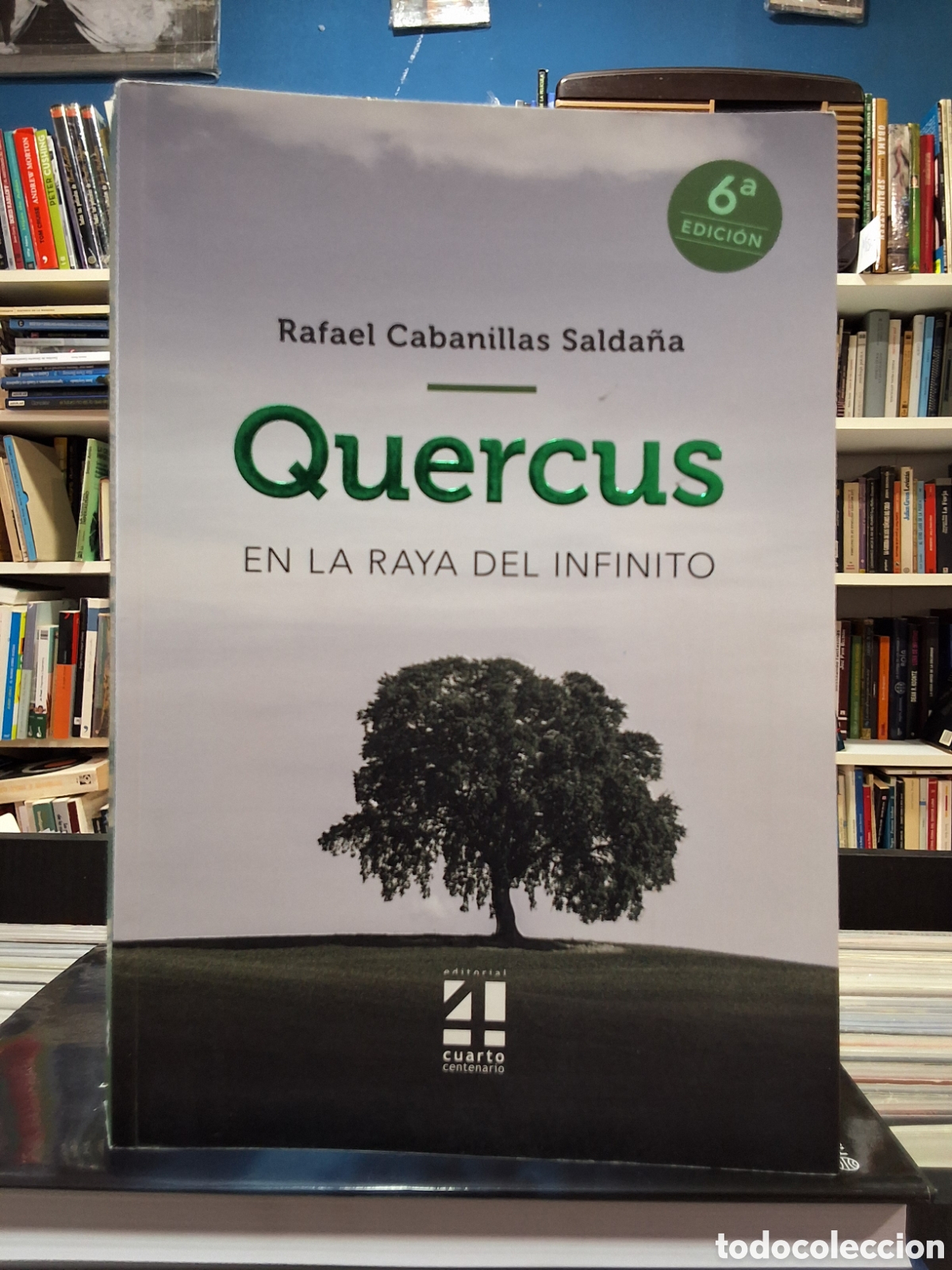 Libros de segunda mano: QUERCUS - EN LA RAYA DEL INFINITO - R. CABANILLAS - ENV&Iacute;O DESDE 2,50&euro;