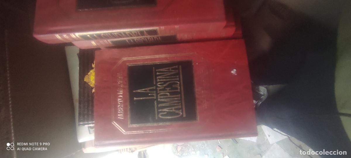Libros de segunda mano: La campesina Grandes &eacute;xitos Orbis