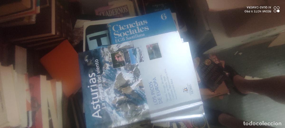 Libros de segunda mano: ASTURIAS LA MIRADA DEL VIENTO- LOS PICOS DE EUROPA
