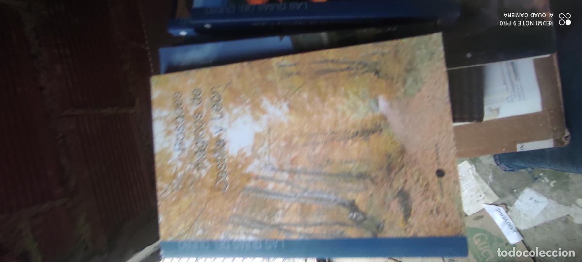 Libros de segunda mano: BOSQUES M&Aacute;GICOS DE CASTILLA Y LE&Oacute;N - JOAQU&Iacute;N ALONSO