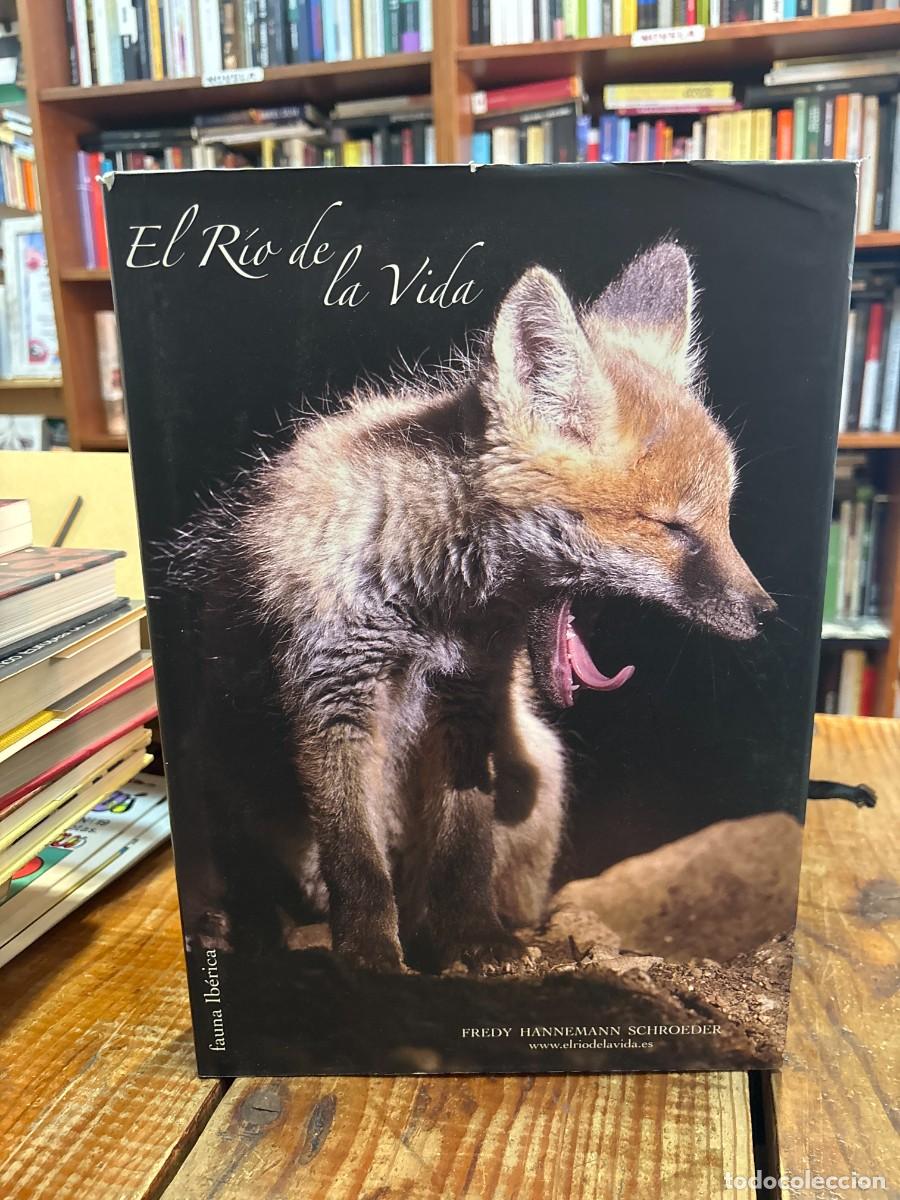 Libros de segunda mano: El r&iacute;o de la vida Hannemann Scroeder, Fredy Idioma: Espa&ntilde;ol Editorial: Hannemann Scroeder, Paul Al