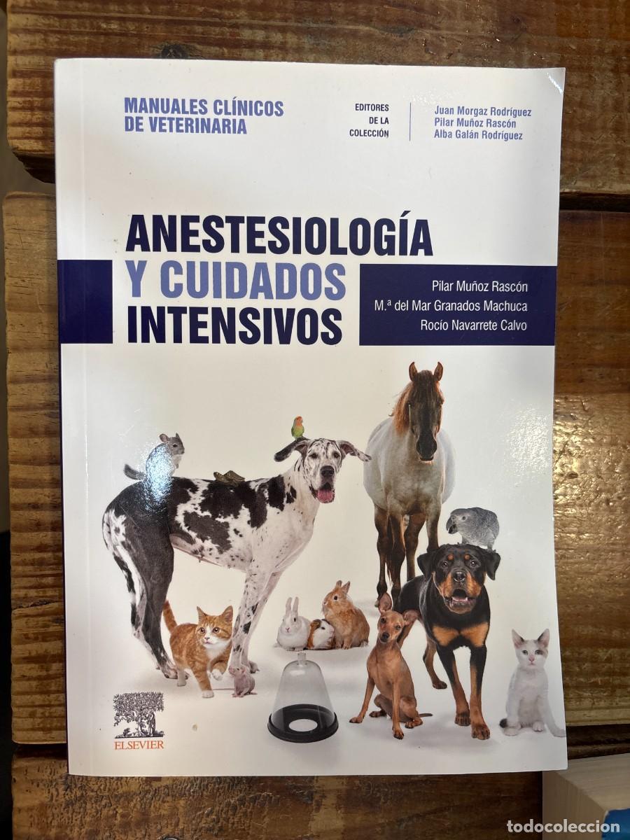 Libros de segunda mano: Anestesiolog&iacute;a y cuidados intensivos: Manuales cl&iacute;nicos de Veterinaria Mu&ntilde;oz Rasc&oacute;n, Pilar; Granados