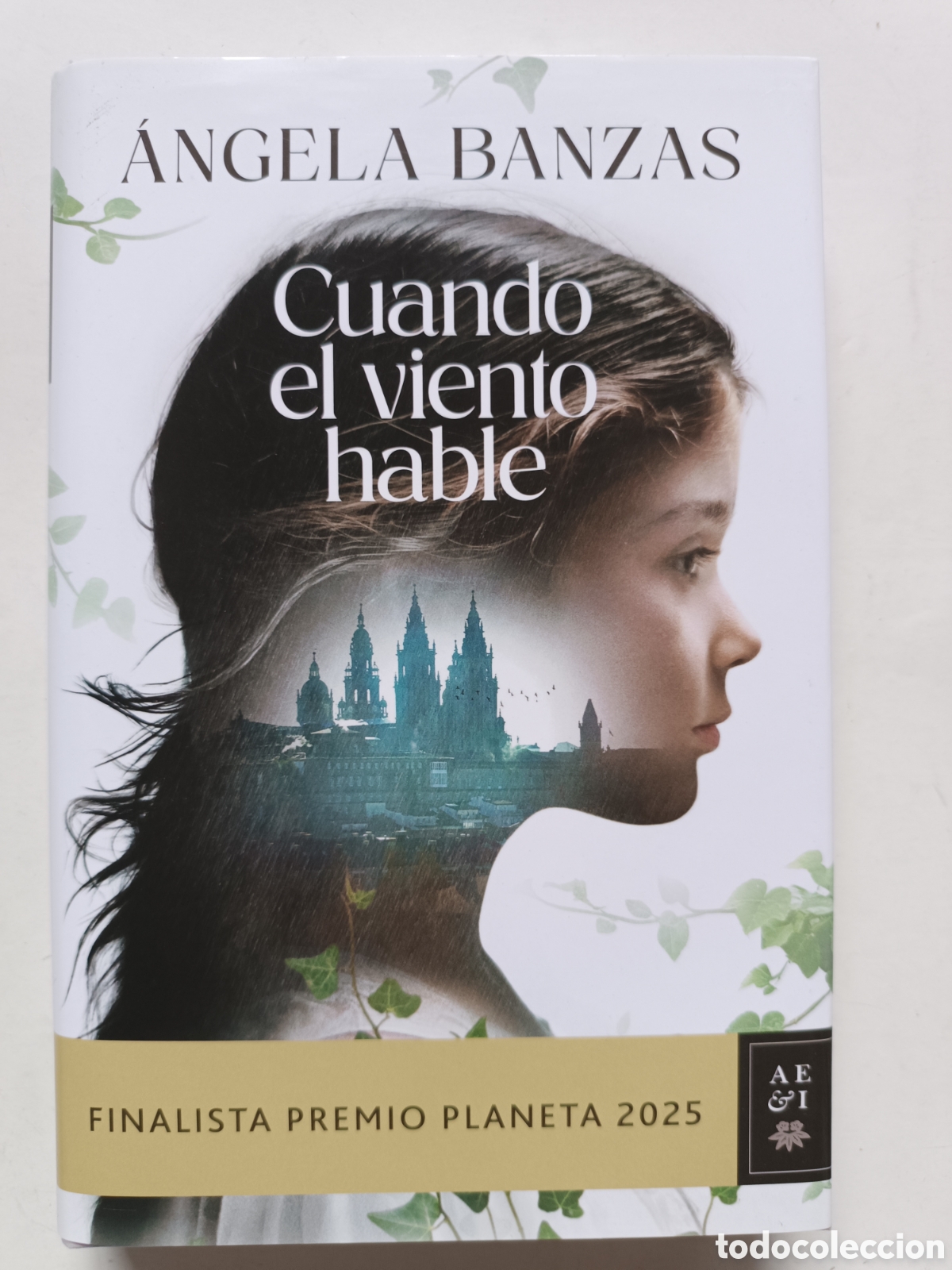 Libros de segunda mano: ANGELA BANZAS: Cuando el viento hable (Planeta, 2025) - Finalista Premio Planeta 2025 -