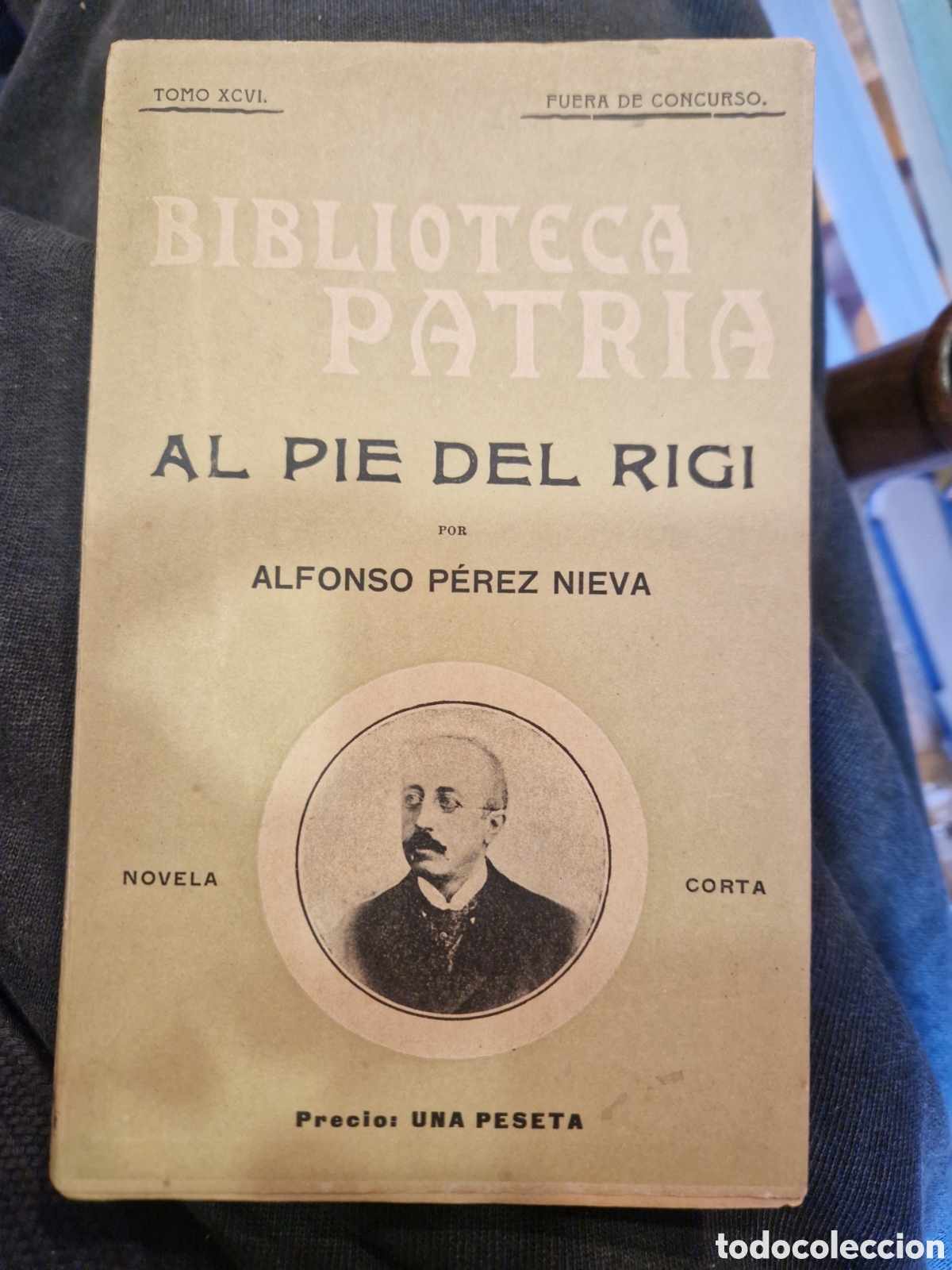 Libros de segunda mano: P&Eacute;REZ NIEVA, Alfonso Al pie del Rigi: Novela original