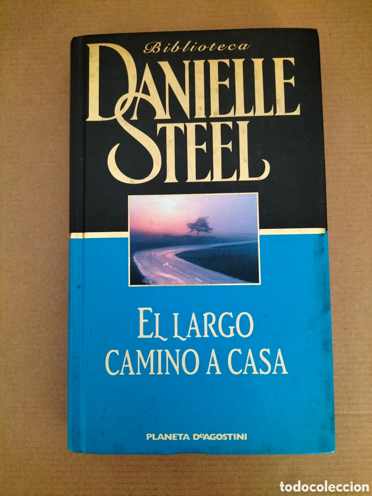 Libros de segunda mano: El largo camino a casa. Danielle Steel. Planeta DeAgostini, 2001. Libro