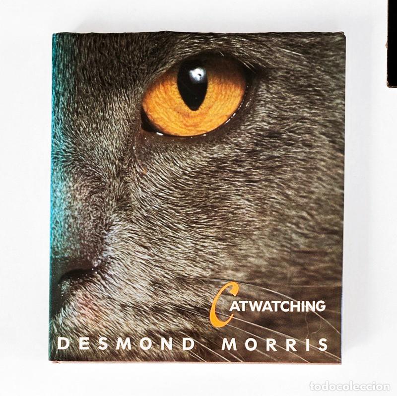 Libros de segunda mano: CATWATCHING - DESMOND MORRIS - EDICI&Oacute;N INGLESA EN TAPA DURA CON SOBRECUBIERTA