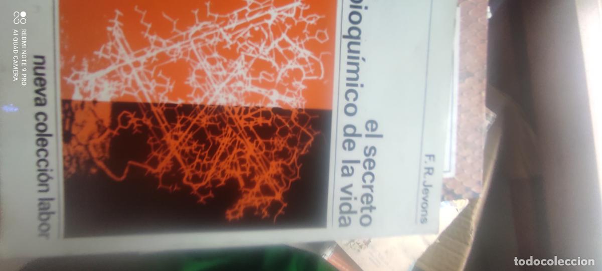 Libros de segunda mano: El secreto bioqu&iacute;mico de la vida - jevons