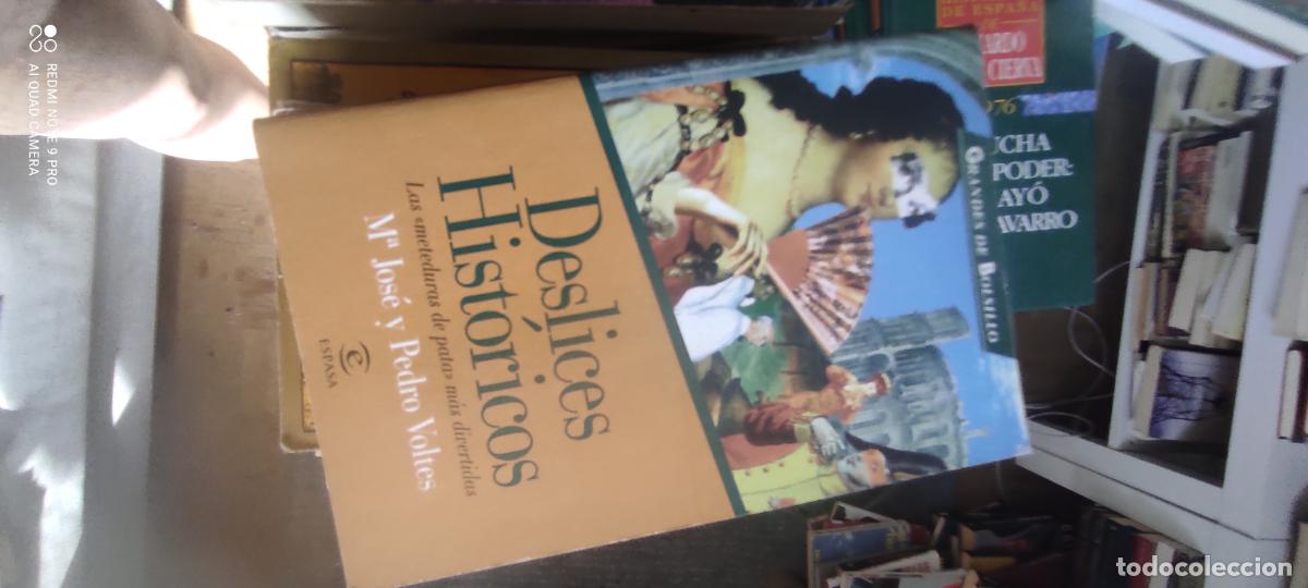 Libros de segunda mano: DESLICES HISTORICOS,Ma.JOSE Y PEDRO VOLTES, ESPASA EDITORIAL,1996,262 P&Aacute;GINAS.